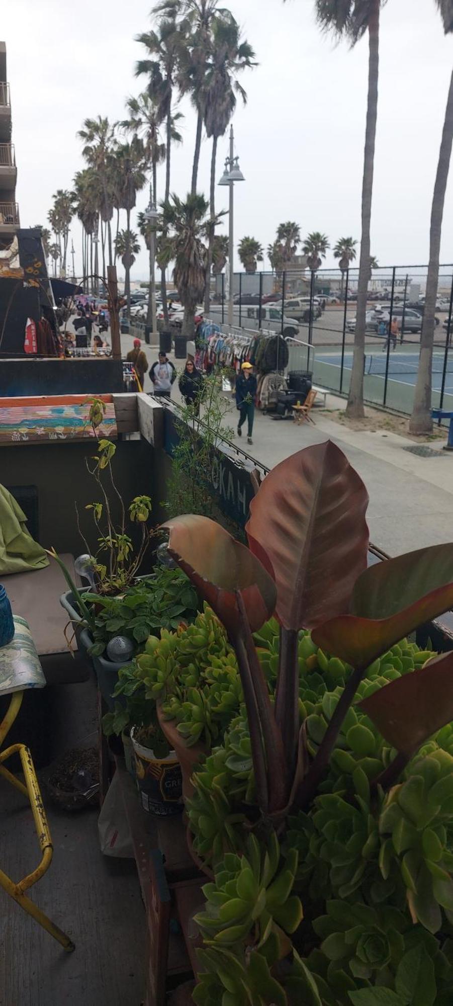 Ocean Front Vortex Female Hostel Private Rooms Free Bikes Los Angeles Kültér fotó